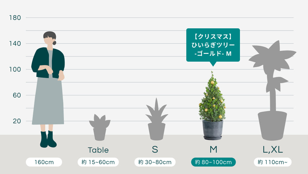 【クリスマス】ひいらぎツリー -ゴールド- Mのサイズ
