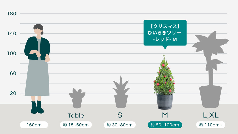 【クリスマス】ひいらぎツリー -レッド- Mのサイズ