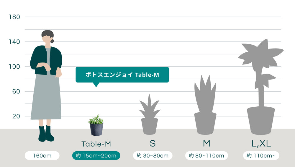 ポトスエンジョイ Table-Mのサイズ