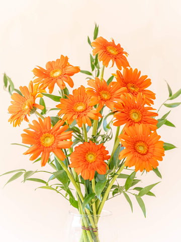 ガーベラの花束 10本 - オレンジ -
