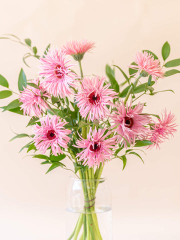 ガーベラの花束 10本 - ピンク -