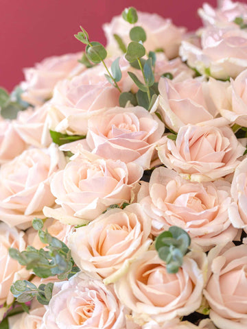 【誕生日ギフト】バラの花束 30本 - ピンク -