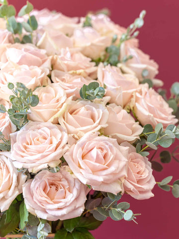 バラの花束 30本 - ピンク -