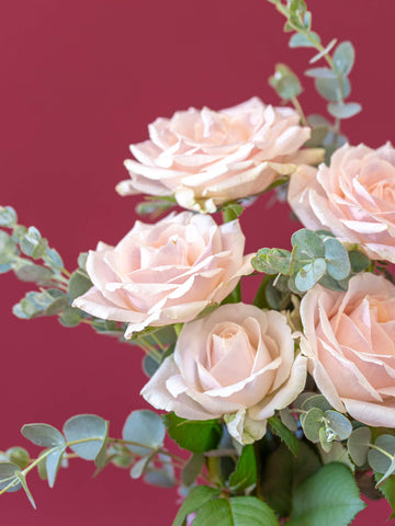 【誕生日ギフト】バラの花束 5本 - ピンク -