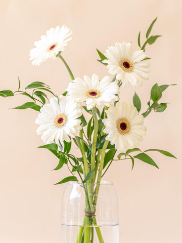 ガーベラの花束 5本 - ホワイト -