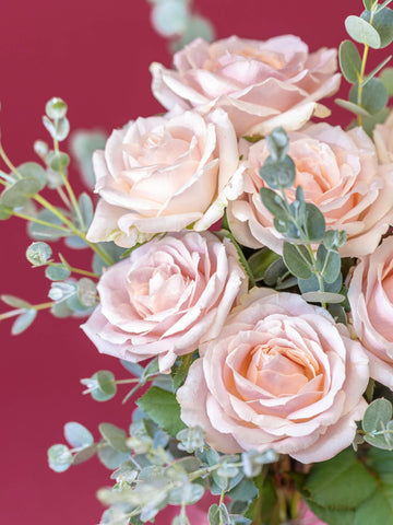 【誕生日ギフト】バラの花束 7本 - ピンク -