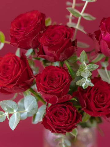 【誕生日ギフト】バラの花束 7本 - レッド -