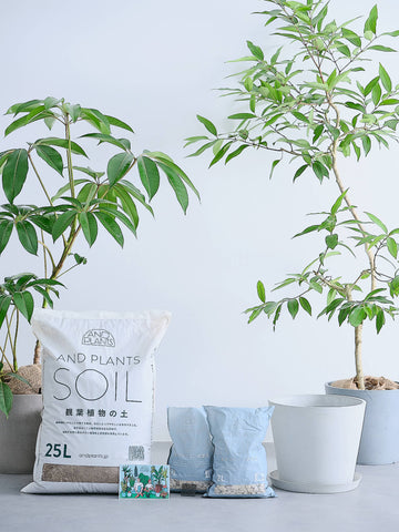 アンドプランツ植え替えセット L