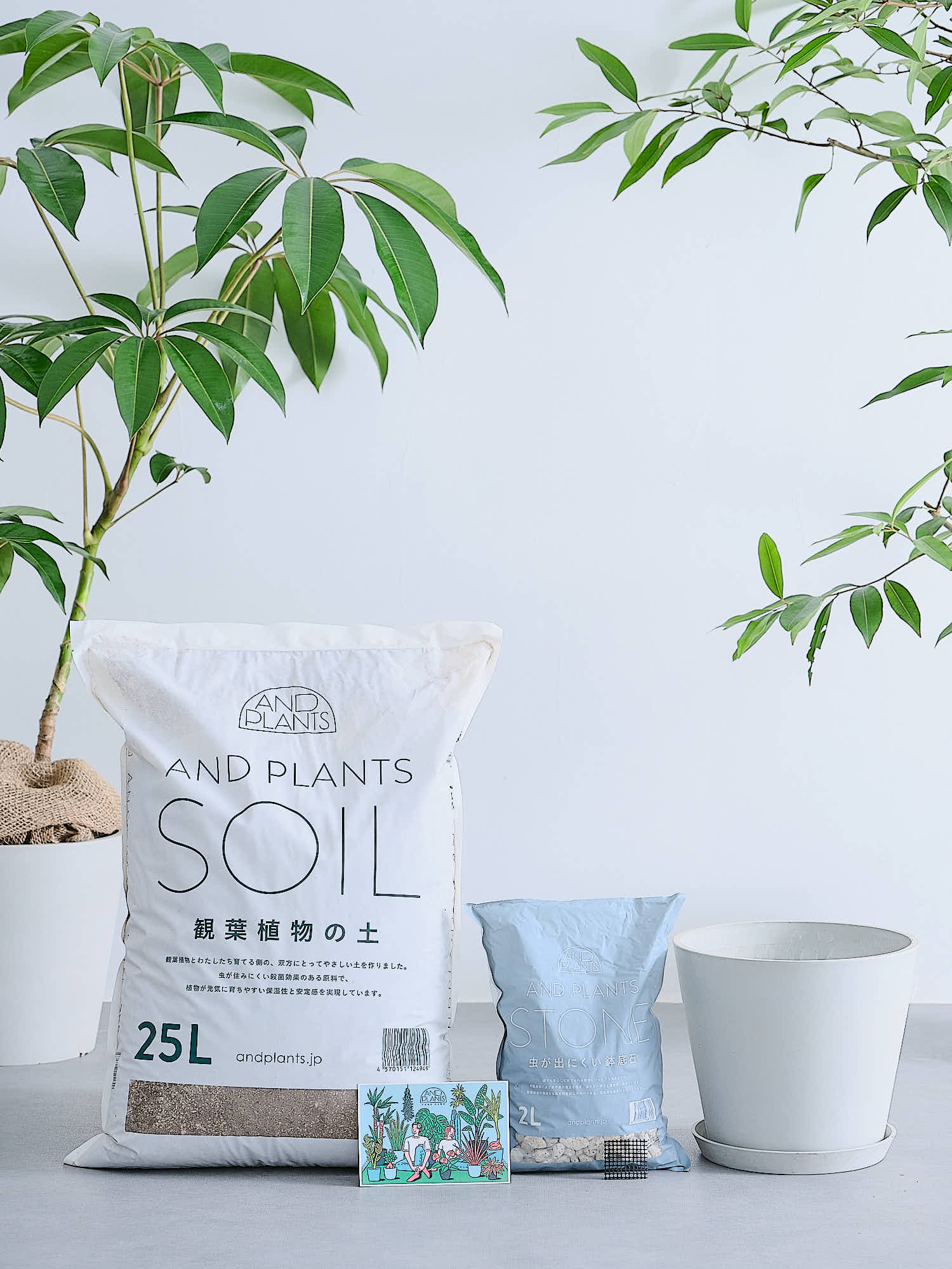 アンドプランツ植え替えセット M