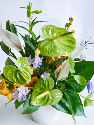 【8月の誕生花】アンスリウムのアレンジメント