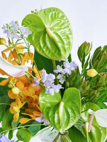 【8月の誕生花】アンスリウムの花束L