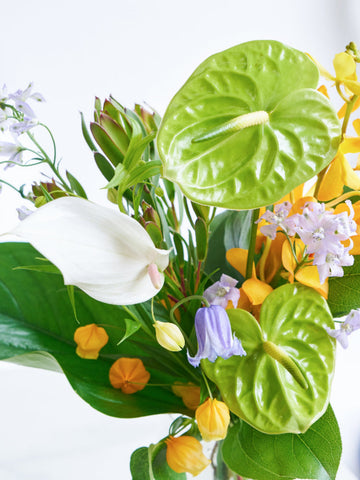 【8月の誕生花】アンスリウムの花束M