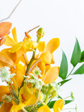 【1月の誕生花】シンビジュームの花束L - オレンジ -