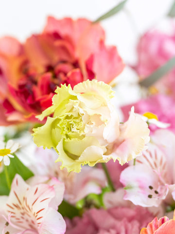 【3月の誕生花】ラナンキュラスの花束L