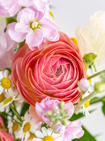 【3月の誕生花】ラナンキュラスの花束M