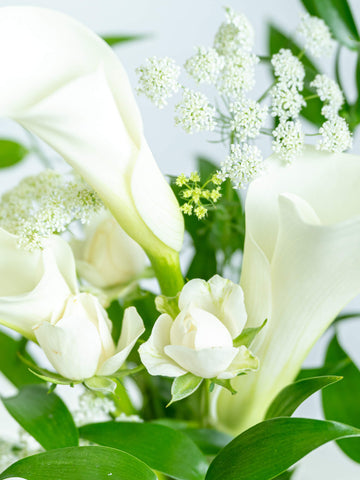 【10月の誕生花】カラーの花束M - ホワイト -