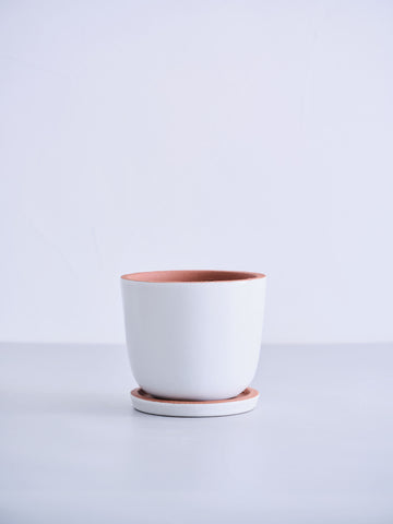 植木鉢 Table-L CERAPOTS Bolin15