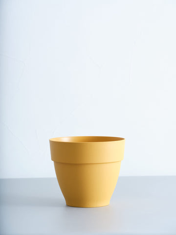 植木鉢 S elho vibia campana20