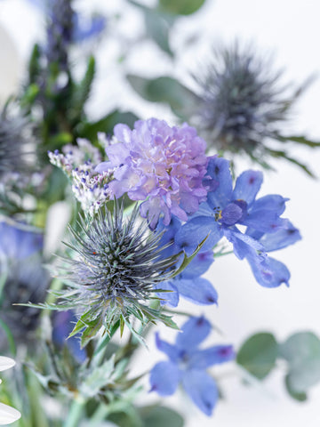 蝶結び フルーツギフトカードと季節の花束 S ブルーのセット