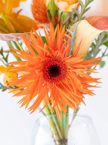 蝶結び フルーツギフトカードと季節の花束 S オレンジのセット