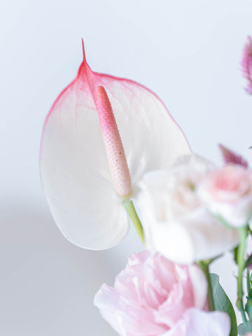 蝶結び フルーツギフトカードと季節の花束 S ピンクのセット