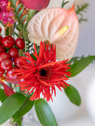 蝶結び フルーツギフトカードと季節の花束 S レッドのセット