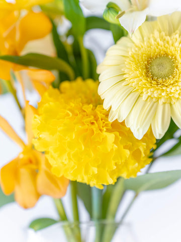 蝶結び フルーツギフトカードと季節の花束 S イエローのセット