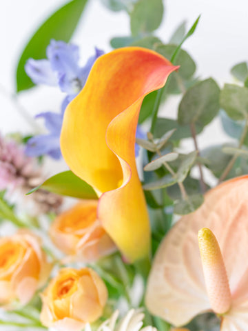 蝶結び フルーツギフトカードと季節の花束 S ミックスのセット