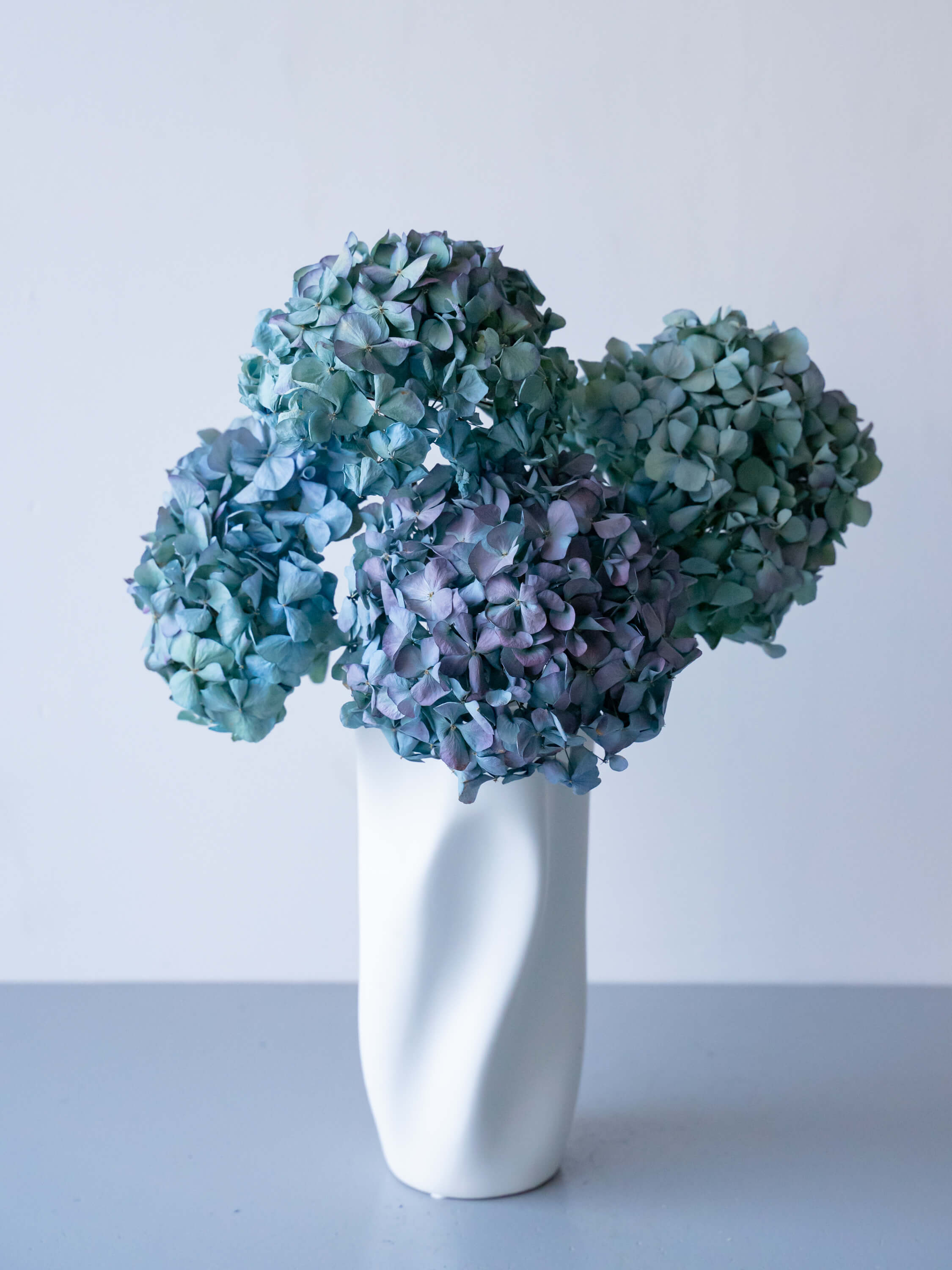 ドライ花材 アジサイ ピンパーネルブルー