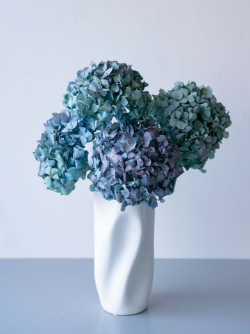 ドライ花材 アジサイ ピンパーネルブルー