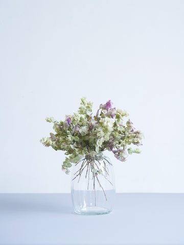 ドライ花材 オレガノ ケントビューティー