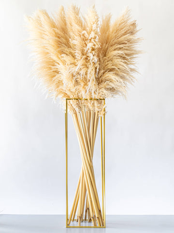 ドライ花材 パンパスグラス