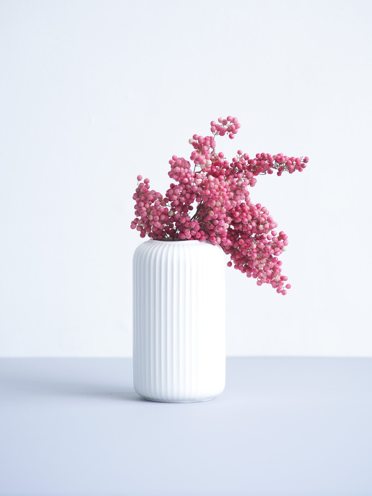 ドライ花材 ペッパーベリー