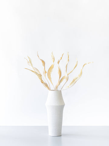 ドライ花材 ストレリチアリーフ ホワイト