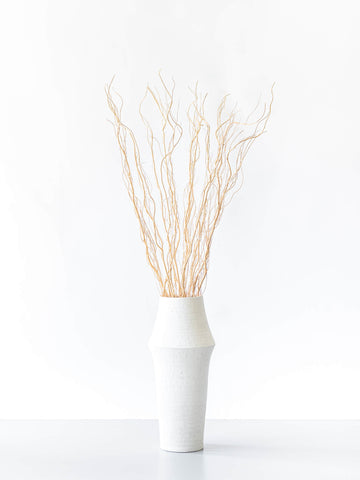 ドライ花材 うんりゅう柳 ホワイト