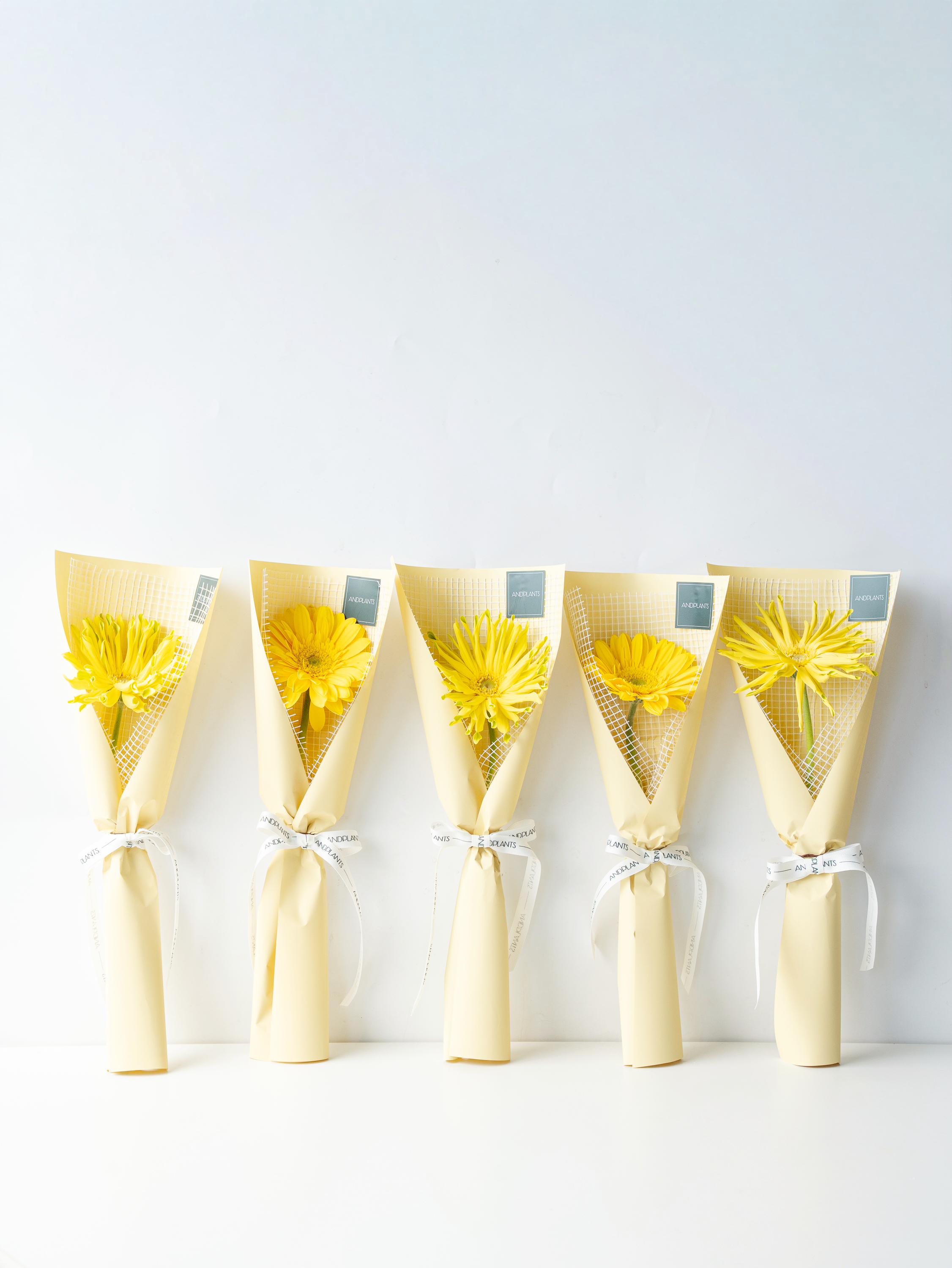 【送別・お祝いなどに】生花1輪ラッピング - Gerbera × Yellow 5束セット -