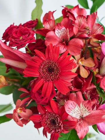 フローリストにおまかせ 季節の花束 M - レッド -