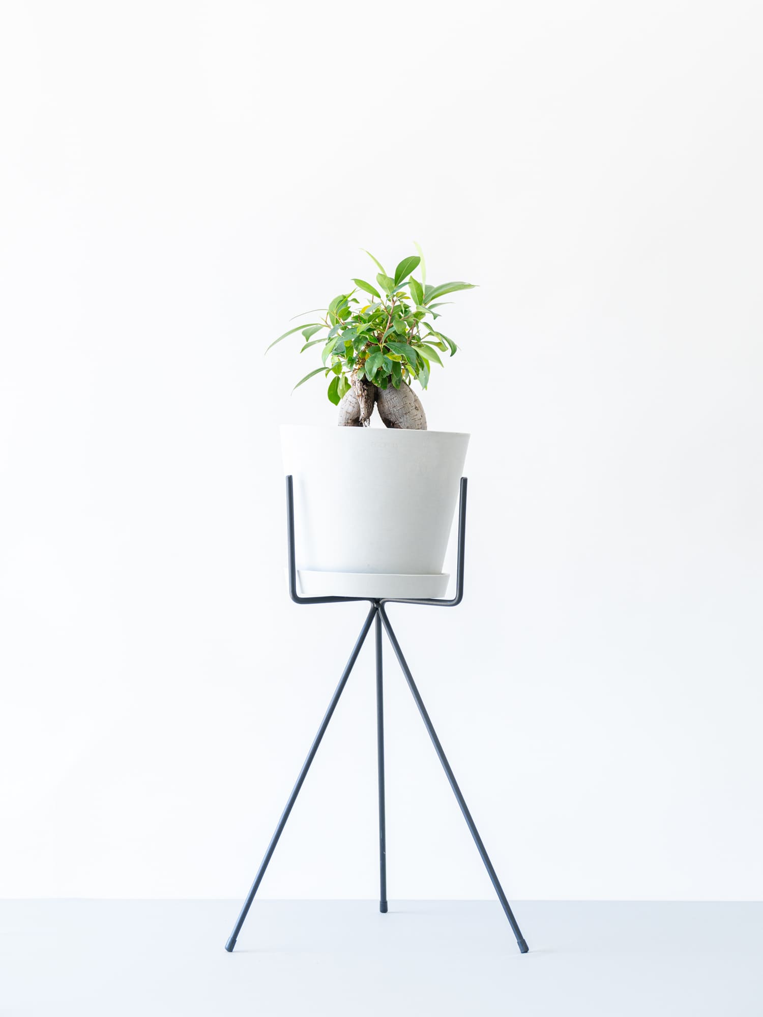 アイアンスタンド・Wide - Black