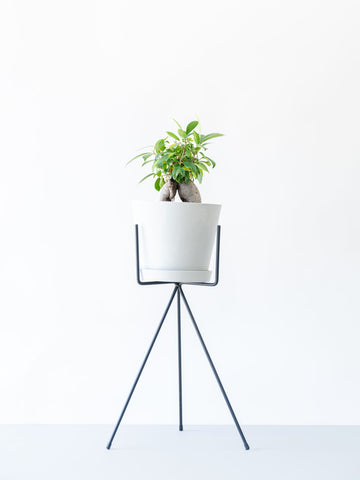 アイアンスタンド・Wide - Black