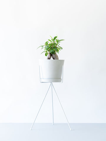 アイアンスタンド・Wide - White