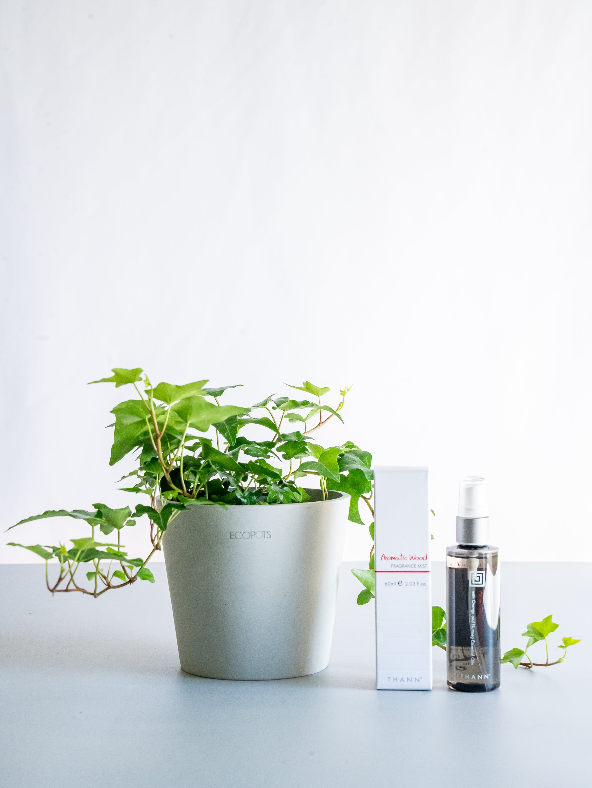 THANNフレグランスミストAW×アイビー 緑（ヘデラ） Table-M