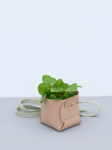 レザーポットハンギング ベージュ