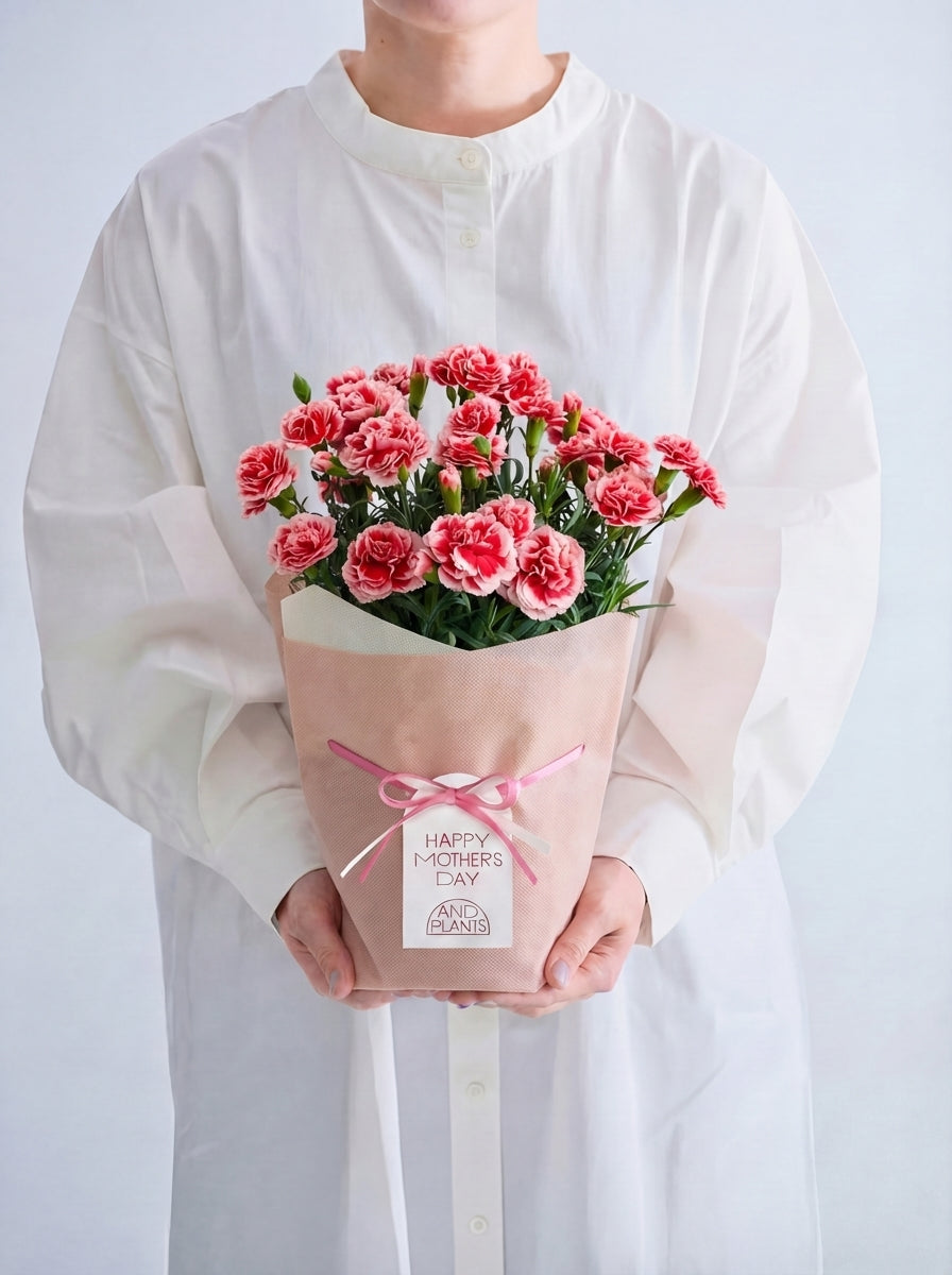 【母の日】カーネーション いちごホイップ