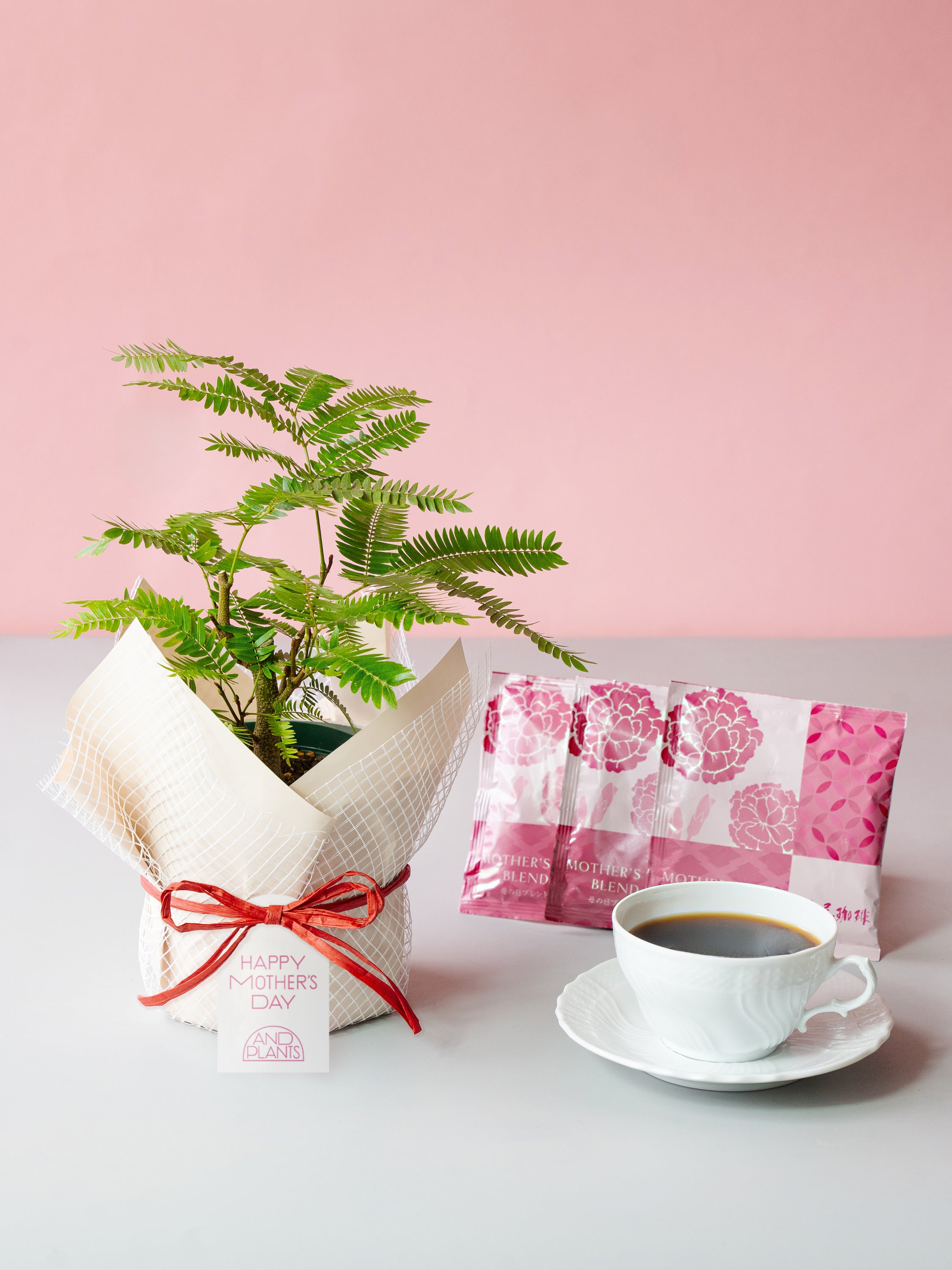 【母の日】エバーフレッシュ Table-M  + 椿屋珈琲3パック