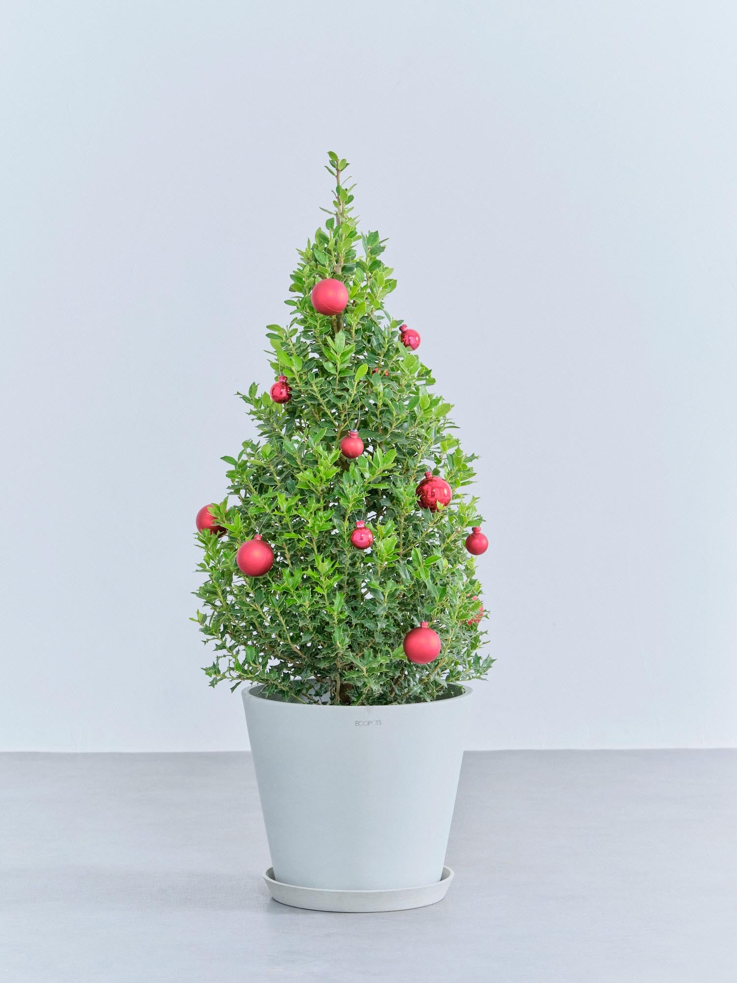 【クリスマス】ひいらぎツリー -レッド- M