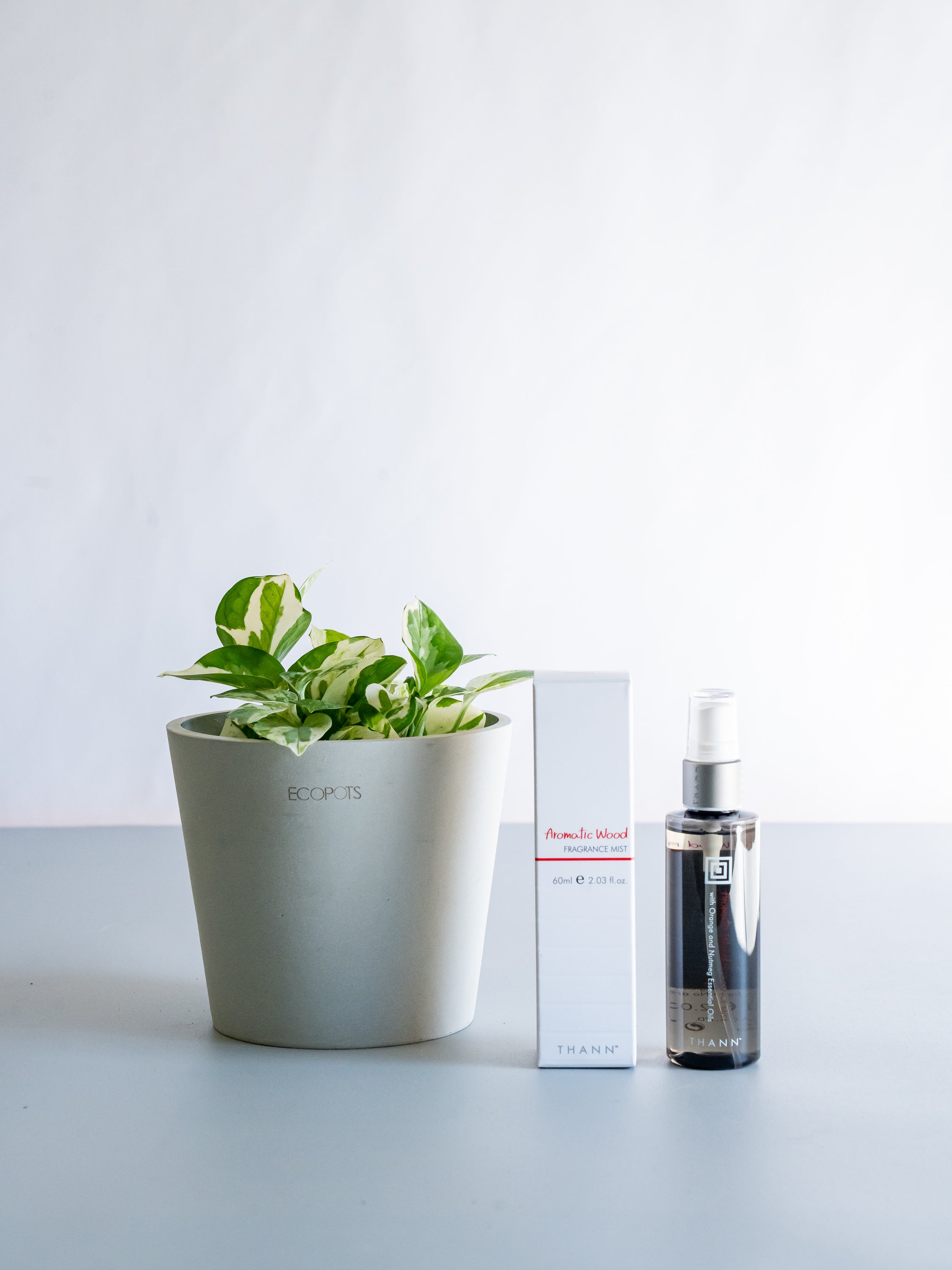 THANNフレグランスミストAW×ポトスエンジョイ Table-M