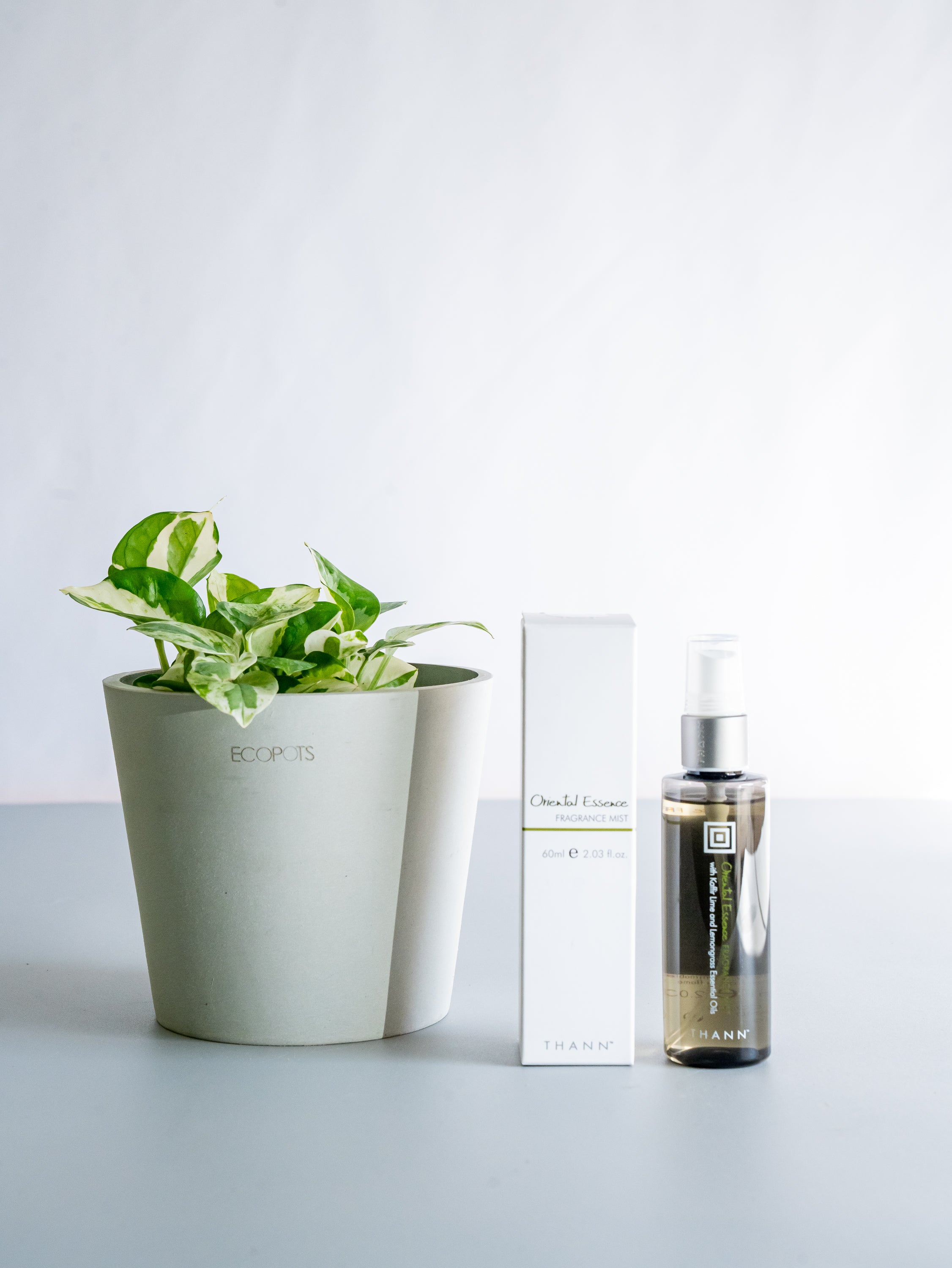 THANNフレグランスミストOE×ポトスエンジョイ Table-M