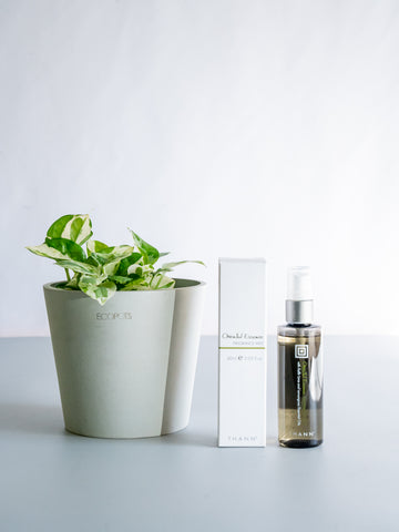 THANNフレグランスミストOE×ポトスエンジョイ Table-M