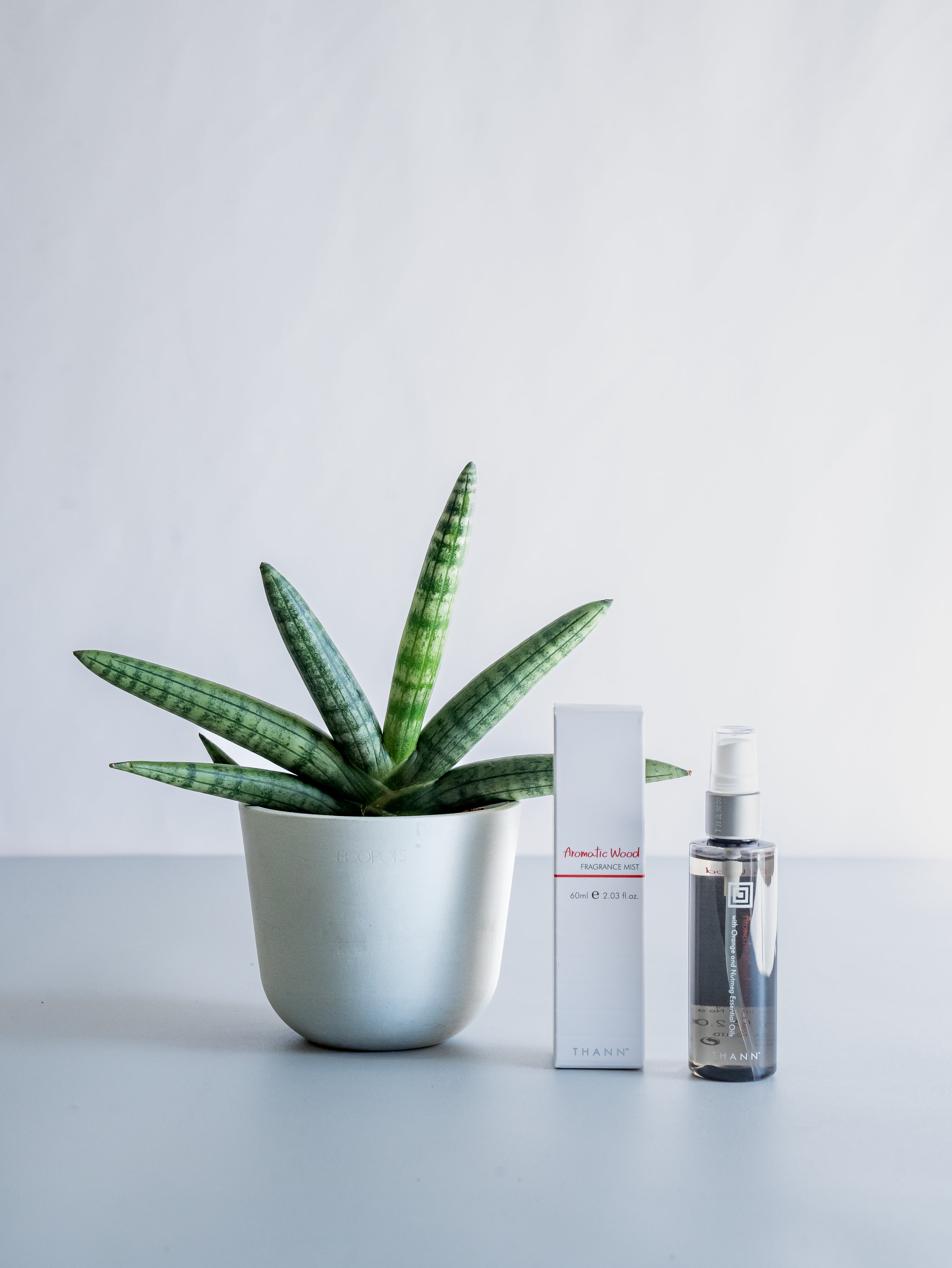 THANNフレグランスミストAW×サンスベリア・ボンセレンシス Table-S