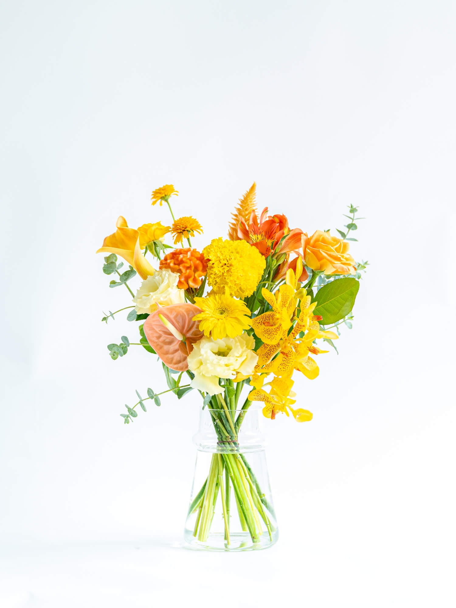 お花の定期便-ラージ-